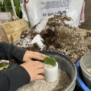 예원화원&예원 이미지