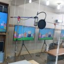 애니피그 이미지