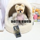 ✂️발톱깎기 전쟁 끝! 와이즈영 반려동물 발톱깎이 솔직후기🐾
