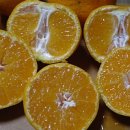 웰빙농장2 이미지