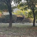 광교임시수련원 이미지