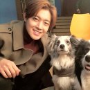 꽃보다 개 이미지