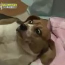 시골집명품석갈비 이미지