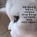 먹고 살기 힘들다 이미지