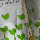 (주)금양 | 8체질 검사 5회차, 금양체질<구미 보리수 한의원>