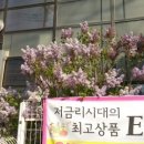 뽀샤시피부관리