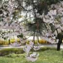 수원-0353 | [수원 행궁동 카페] 방화수류정 근처 편안한 분위기 '수원녘'