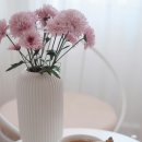 래미안축복공인중개사사무소 이미지