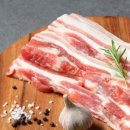 선진캠핑 이미지