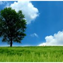 안성목장 이미지