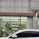 내 손으로 만드는 도자기 그릇 | 대전 도자기 공방 513 세라믹 스튜디오 물레 원데이 클래스 나만의 그릇 만들기