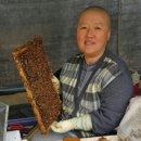 진성양봉