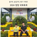 향기 가득한 가을 축제, 2024 양양 국화 축제