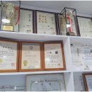 한국체대 엘리트 태권도장 이미지