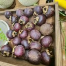 스튜디오모찌 | 🍈 [내돈내산] 수원 세류동 '프룻스튜디오' 본점 솔직 후기(백자멜론, 과일모찌, 컵과일, 과일선물세트)