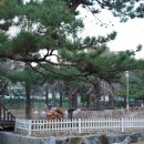 문래근린공원(1) 이미지
