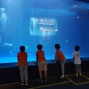 김천유치원 이미지