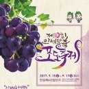 안성서운포도 이미지