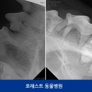 포레스트동물병원 이미지