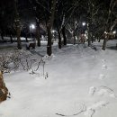 백석본멸치국수