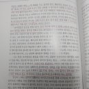 슈웨제네거 이미지