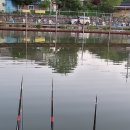 못말낚시터 이미지