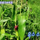 한샘농장 이미지