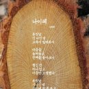나이테
