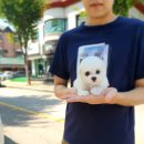 스타미용타운 이미지