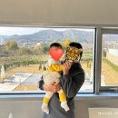 하이케어롯데마트 이미지