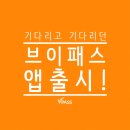 브이패스