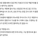 최근 중국 상하이로 출장 다녀오신 이종분의 글. 이미지