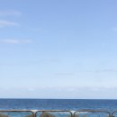 (주)아이엘티 | 나는 왜 왜? 춘천에