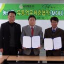 곡성청과