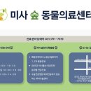 하남동물병원 | 자궁축농증 수술후기 [미사숲동물의료센터/ 미사동물병원/ 하남동물병원]
