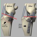 모현동물병원 | 강아지 전방십자인대 단열, TPLO 수술, 익산 모현동물병원