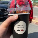 홍천(서울) | 서울 근교 드라이브 카페 홍천 몰리프 로스터리 카페 다녀온 리얼 후기