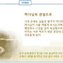 일일참 이미지