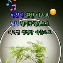 만사형통