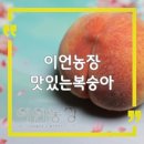 이언농장 네이버블로그