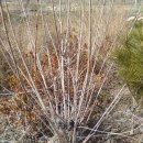 수형농장 이미지