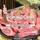 삼성역 양갈비 맛집 | 고메램 Gourmet Lamb 회식장소 추천!