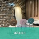 샐리홈가구