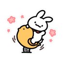 중앙 초등학교 병설 유치원 이미지