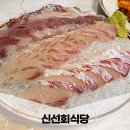 일조집,회춘 해운대점 | 부산 해운대 횟집 추천 광안대교뷰 바가지 없는 맛집 신선회식당 내돈내산