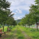 상상이상 당구클럽 이미지