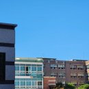 서울오금초등학교 이미지