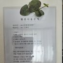 금오스테이 | [금오도펜션] 남자친구와 힐링하고 온 금오스테이펜션 방문 후기