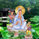 연이루리 이미지