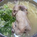 [대도마을]홍합 다이닝코드